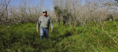 Man walking through overgrown brush