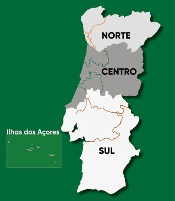 Mapa Assesores Técnicos Pioneer