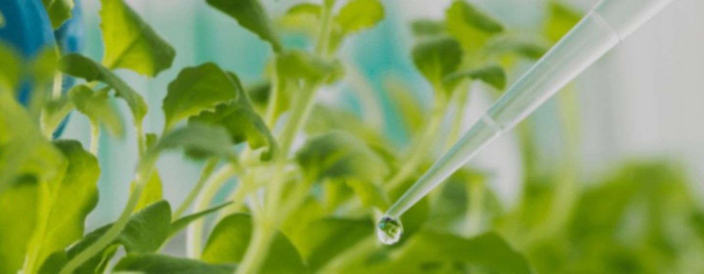 IMG-media-center-Corteva-LA-BR-V1