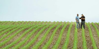 Become an Independent Pioneer Sales Professional.