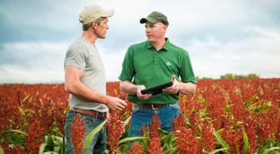 Dedicated Sorghum Aphid Research Program