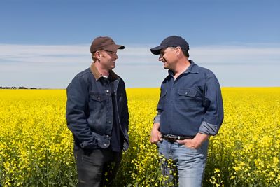 men in canola field