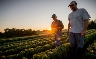 Glyphosate-tolerant