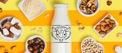 A bottle of milk surrounded by different types of products that make up other milks.