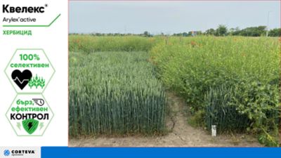 IMG-nE-Corteva-EU-BG-V1