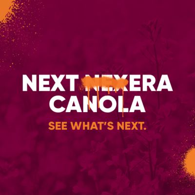 Next Nexera Canola. See what's next.