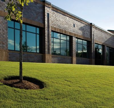 Nicely cut grass and groomed tree with a building in background