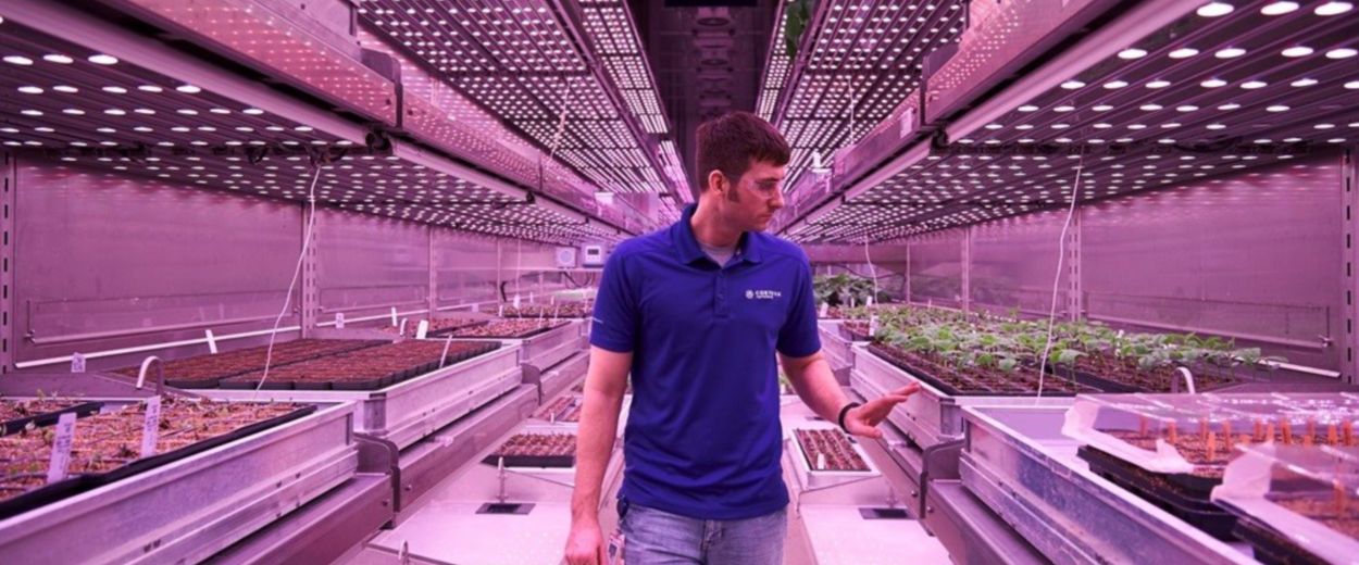 A man in a blue polo shirt walks between rows of plants in an indoor vertical farming facility. He a