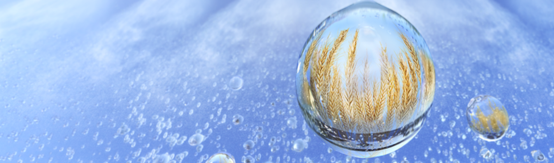 brand creative for ondeck