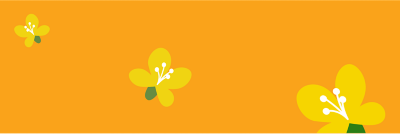 canola flower decorative image