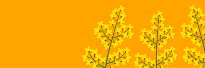 canola graphic