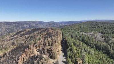 aerial view Park fire aftermath