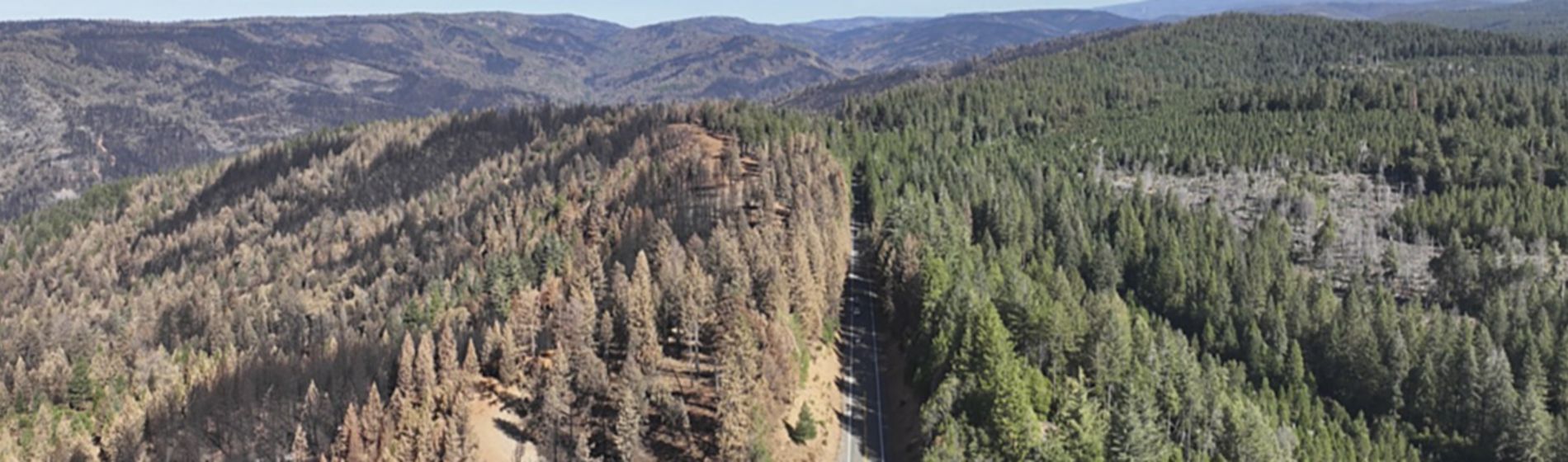 Overhead view of Park Fire aftermath with roadway through middle