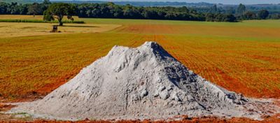 Calagem: uso de calcário nas pastagens e mercado