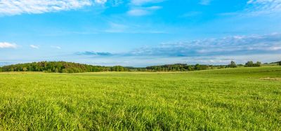 pasture and blue sky