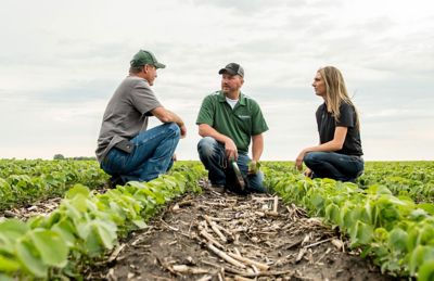 Soybean Seed Treatment