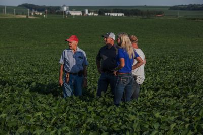 People in soybean field