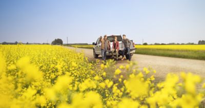 truck in canola field