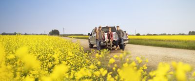 people looking at canola field