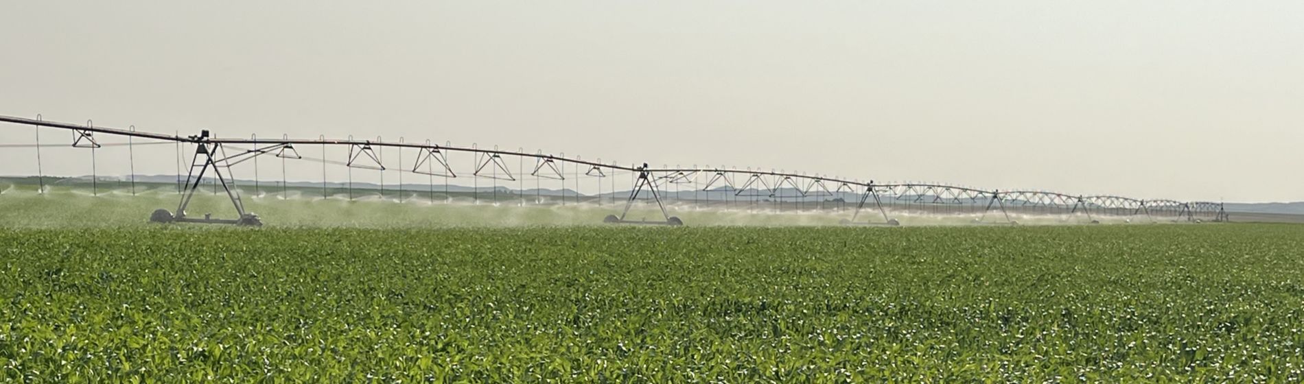 pivot irrigation in corn field