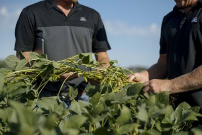 Agronomy for Forward-thinking Farmers
