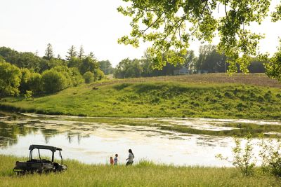 Pond in field