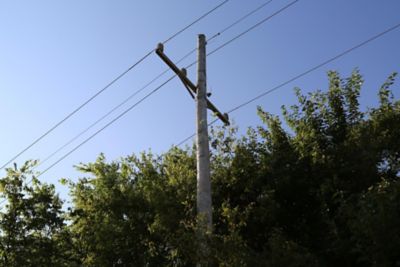 Powerlines and overgrown brush