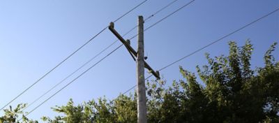 Brush almost interfering with powerline