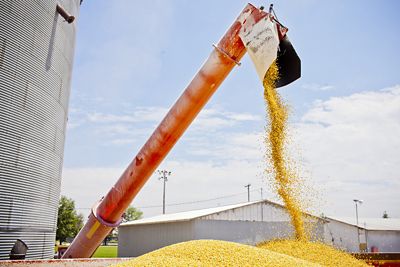 Prepping for harvest