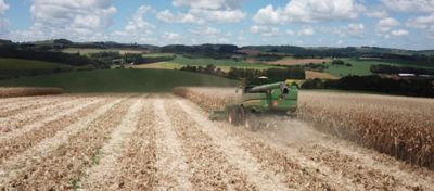 Colheita de lavoura de milho, Xanxerê/SC 