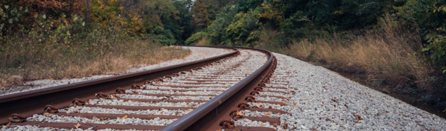 Vegetation on railway