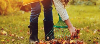 a woman using a rake to pick up leaves