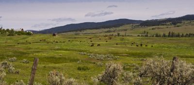 Ranch in the hills hero