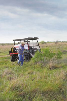 Rancher spraying pasture