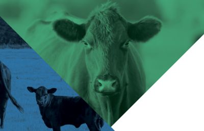 Range and Pasture Management Guide