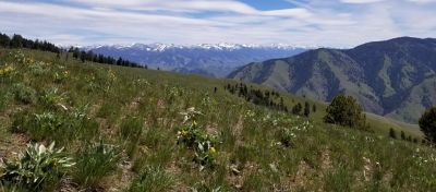 Rangeland - Salmon River Valley Idaho