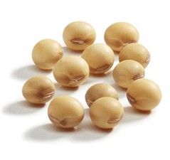 Raw soybeans