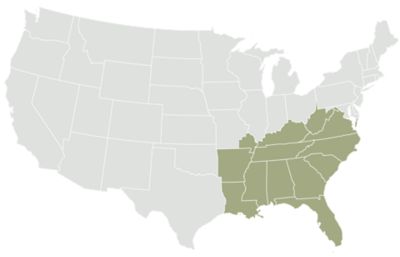 US maps - southern region states highlighted
