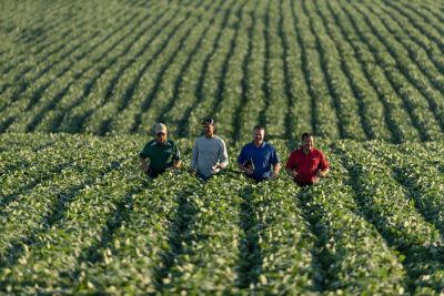Local Pioneer team walking fields of Pioneer brand Enlist E3 soybeans