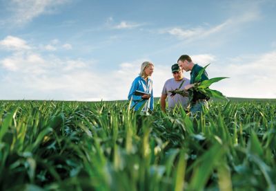 Why should I scout for CRW if traits are protecting the corn?