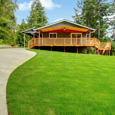 Image of house with lawn