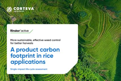 Rinskor PDF Cover Image