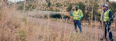 spraying highway roadside