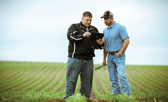 Pioneer agronomist, corn emergence, corn field, planting