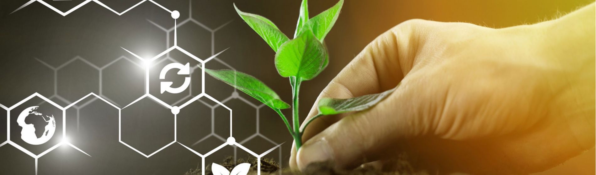 Una PAC orientada a impulsar la sostenibilidad y la digitalización