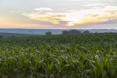 Find the Right Product for Every Acre