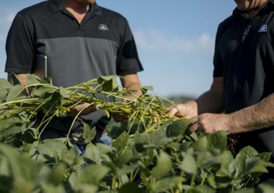 Help With Local Seed Selection