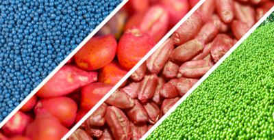 treated corn, canola and soybean seed