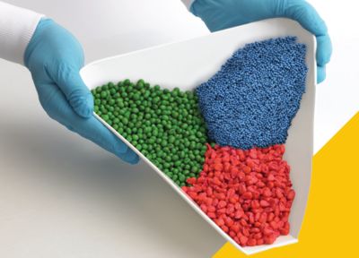 Treated canola, corn and soybean seed held in a tray by a lab technician