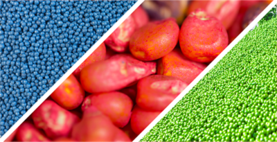 Traitement des semences